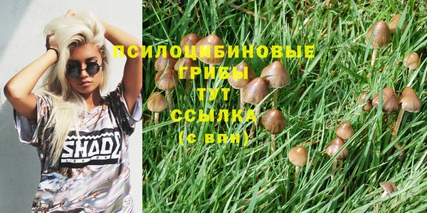 COCAINE Горно-Алтайск