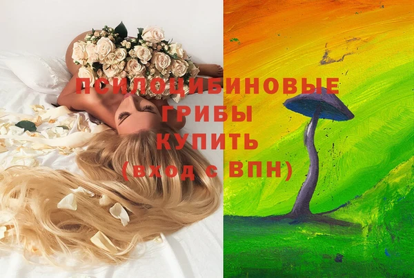 MDMA Горняк