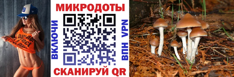 Псилоцибиновые грибы GOLDEN TEACHER  blacksprut как зайти  Заволжск 